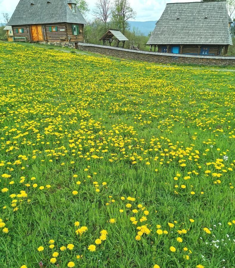 Гостевой дом Complex tradițional Casa din Vale Breb