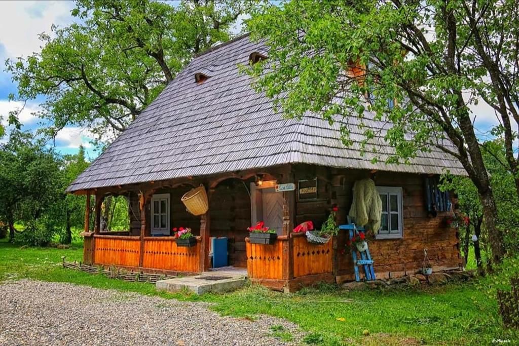 Гостевой дом Complex tradițional Casa din Vale Breb-74
